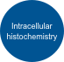 Intracellular histochemistry