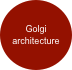 Golgi architecture